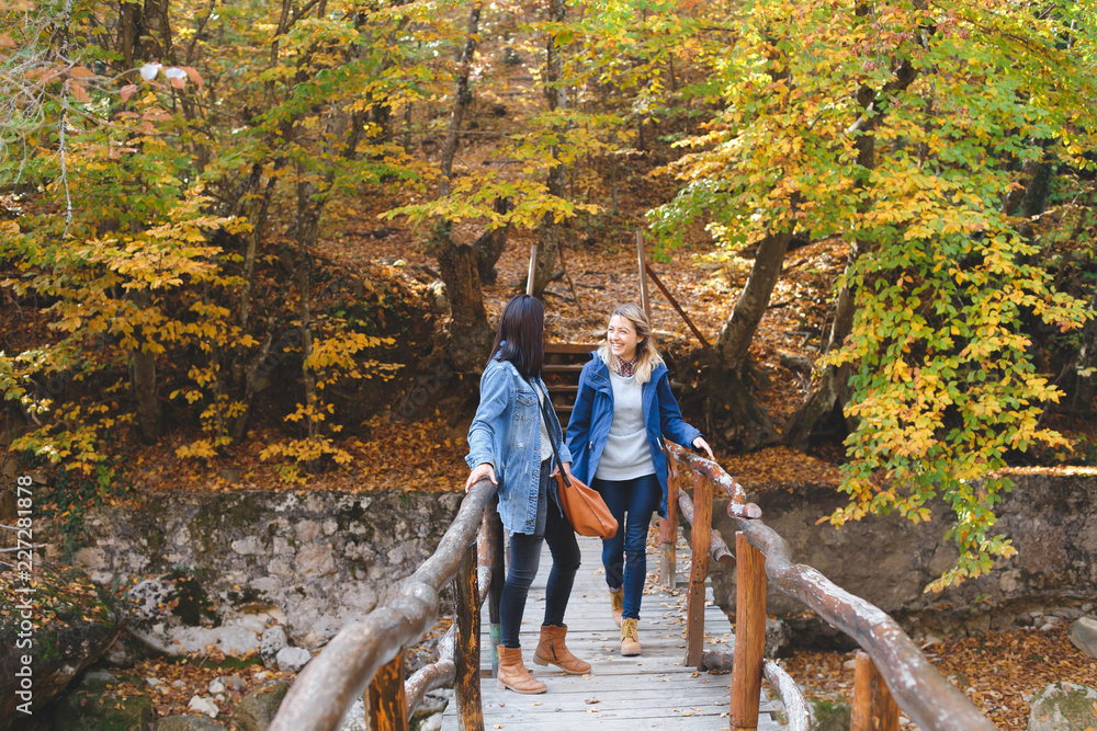 Two young girl friends walking on a wooden bridge in the autumn forest ...