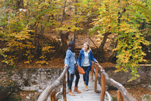 Two Young Girl Friends Walking On A Wooden Bridge In The Autumn Forest, Talking And Laughing.