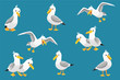 Vector set of cute seagulls isolated on blue background. Vector illustration.