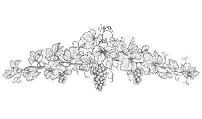 Wall Mural - Hand Drawn Decoration with Grapes