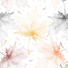 Seamless Vintage Pattern With Color Maple Leaves On White Background.