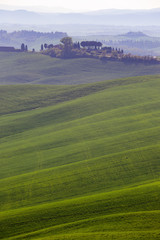 Wall Mural - Typical Tuscan landscape - green waves