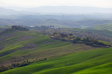 Wall Mural - Typical Tuscan landscape - green waves