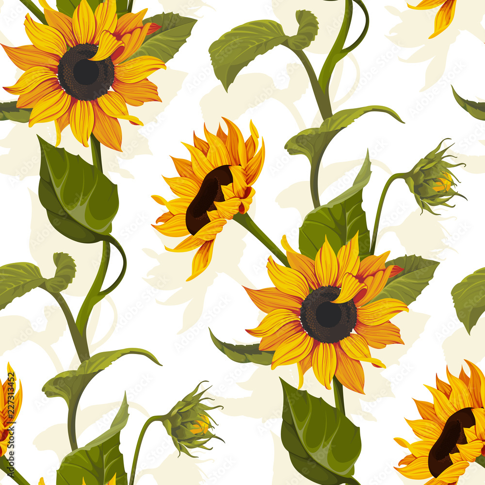 Sunflower vector seamless pattern floral texture on bright backgrounds ...