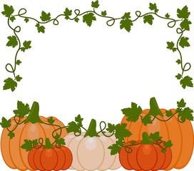 Vector illustration of a background of orange and white pumpkins.