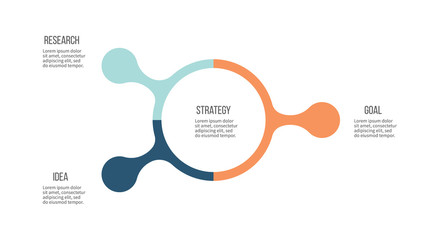 Business infographic. Organization chart with 3 options. Vector template.