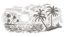 Palms And Sea Engraving Style Illustration. Tropical Beach. Vector, Isolated. 