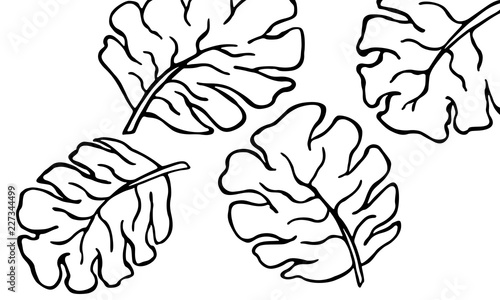 Simple Black Line Drawing Of Tropical Leaves Vector Illustration Buy This Stock Vector And Explore Similar Vectors At Adobe Stock Adobe Stock