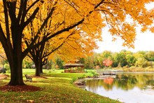 Midwest Nature Background With Park View. Beautiful Autumn Landscape With Colorful Trees Around The Pond And Wooden Gazebo In A City Park. Lakeview Park, Middleton, Madison Area, WI, USA.