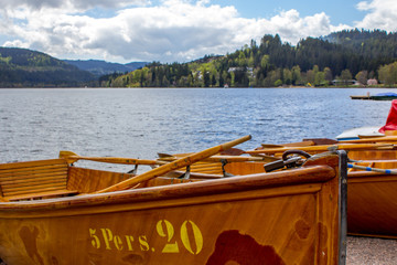 Wall Mural - Titisee Lake, Germany