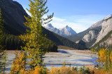 Fototapeta Las - Scenic landscape in Jasper national park near Icefields park way