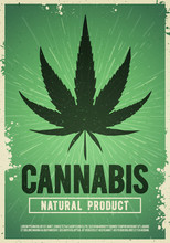 Vector Medical Cannabis Plant, Marijuana, Weed Poster Design In Grunge Style. Natural Product Of Organic Hemp. For Flyer And Banner