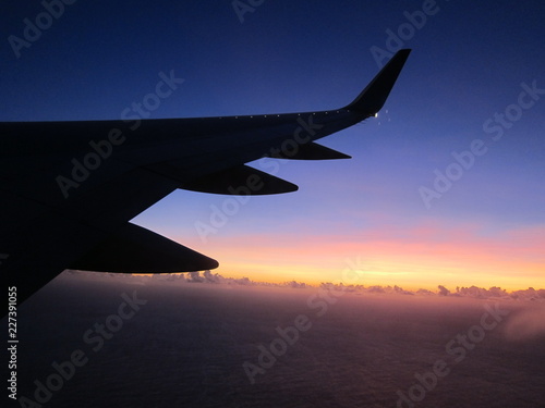 トップ100 飛行機 壁紙 おしゃれ 美しい花の画像