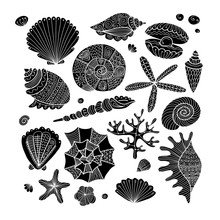 Marine Collection, Ornate Seashells For Your Design