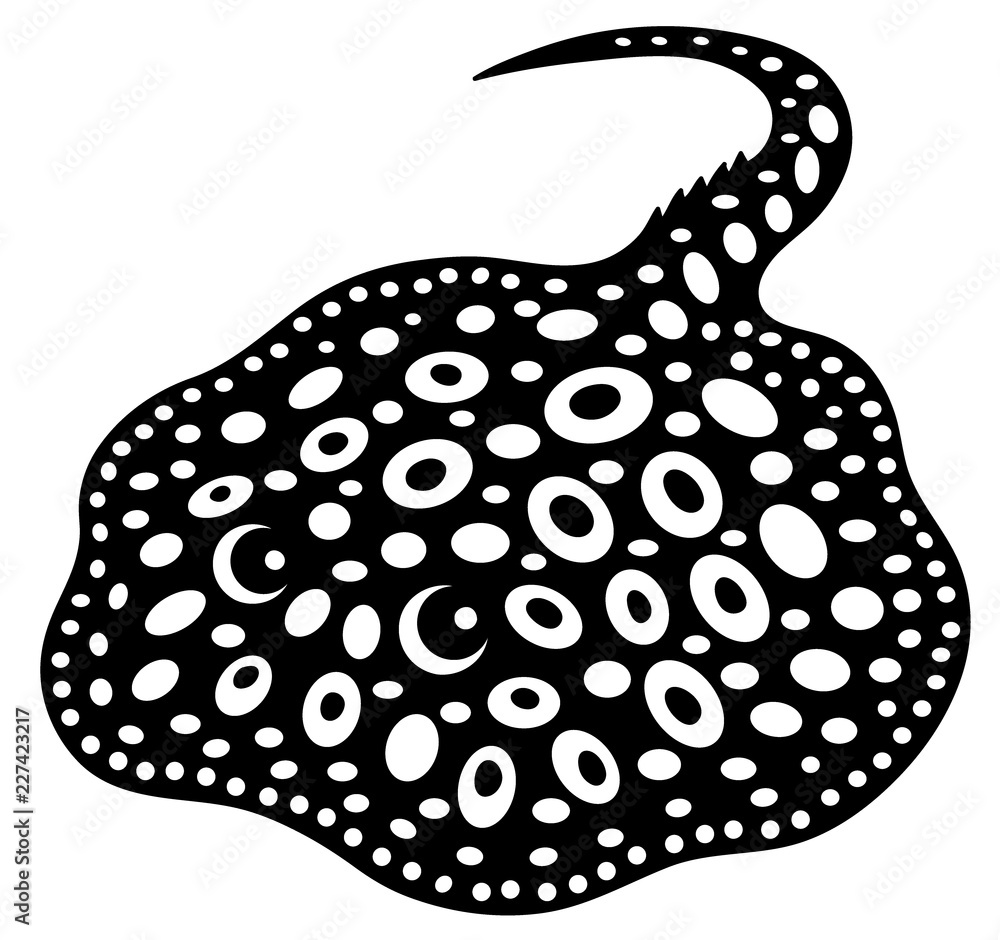 ダイヤモンドポルカ！ : アクアショップエース 淡水エイ 剥製本物