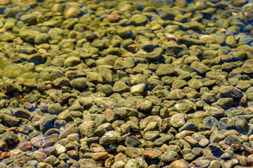 Sunlit moss covered stones under water.