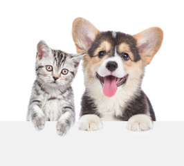 Poster - Cat and dog peeking behind empty white board. isolated on white background. Space for text