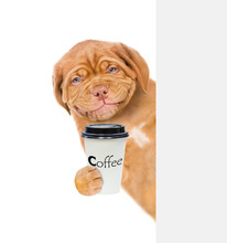 Smiling Puppy With A Cup Of Coffee Behind White Banner. Isolated On White Background