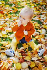 Wall Mural - Cute little baby girl having fun on beautiful fall day