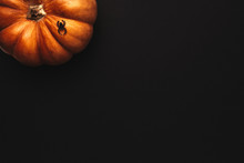 Halloween Background With Pumpkin And Spider