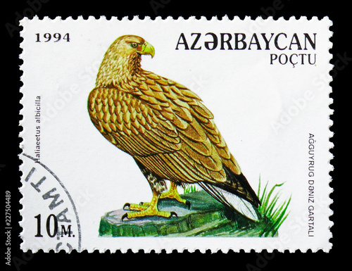 Fotografia White-tailed Eagle (Haliaeetus albicilla), Birds of Prey serie, circa 1994