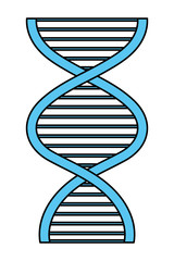 Poster - Human dna symbol