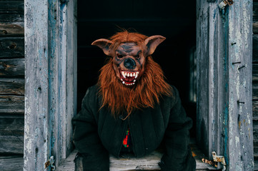 Wall Mural - Unknown person with creepy horrible werewolf mask looking out from old wooden ghost house window. Helloween concept.  Spooky terrible fearful monster. Children fear. Frightening tales. Nightmare.