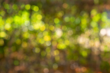 Background with green bokeh