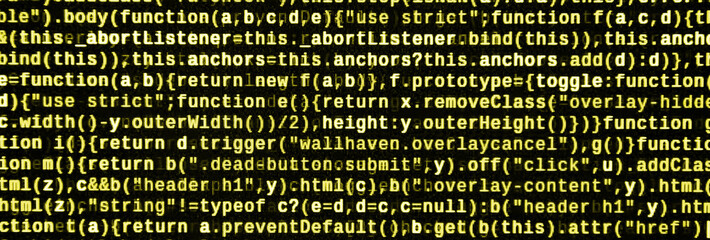 Computer program preview. Programming code typing. Information technology website coding standards for web design