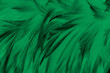 Beautiful dark green turquoise vintage color trends feather texture background