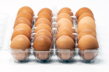 Two dozen brown organic cage-free eggs in a plastic container, isolated on white background.