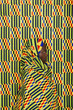 © mobydick/Stocksy - Portrait of a woman camouflaged with colorful fabrics