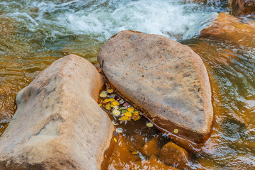 Poster - flowing leaves pool