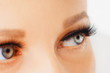 © Olesia - Female eyes with extreme long false eyelashes. Eyelash extensions, make-up, cosmetics, beauty