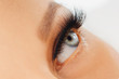 © Olesia - Female eye with extreme long false eyelashes. Eyelash extensions, make-up, cosmetics, beauty