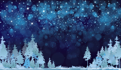 Wall Mural - vector winter night starry sky and forest background.