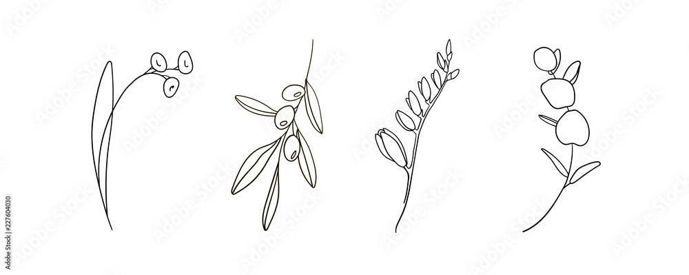 Flowers set isolated on a white background, Hand drawn flowers set ...