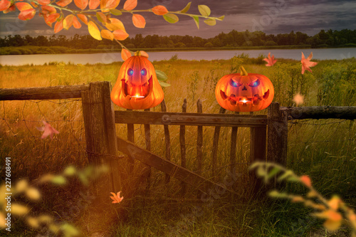 Zwei Lustige Halloween Kurbisse Bei Windigem Herbst Wetter Buy