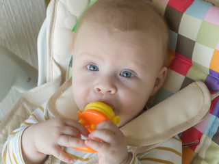 feeding cute little baby boy with nibbler, closeup