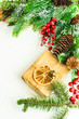 © Anna Bogush - Christmas holiday concept