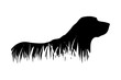 © majivecka - Vector silhouette of dog in the grass on white background.