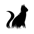 © majivecka - Vector silhouette of cat in the grass on white background.