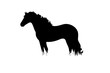 © majivecka - Vector silhouette of horse in the grass on white background.
