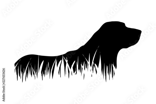 Obraz pies  sylwetka-wektor-psa-w-trawie-na-bialym-tle