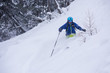 © .shock - freeride skier skiing downhill
