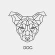 Geometric dog. Polygonal linear animal head. Vector illustration.