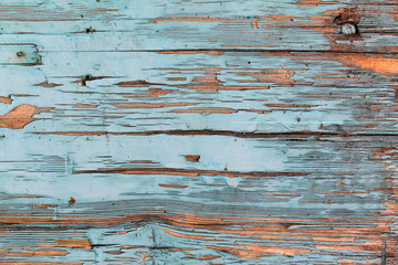 Old wooden background with remains of pieces of scraps of old paint on wood. Texture of an old tree, board with paint, vintage background peeling paint. old blue board with cracked paint
