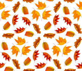 Wall Mural - Seamless autumn background with red and orange leaves isolated on white background with clipping path