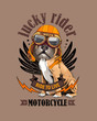 © Afishka - Vector illustration with Boxer Dog in a biker glasses and orange helmet on a beige background. Lucky rider - lettering quote. Inspiration poster, emblem design, hand drawn style t-shirt print.