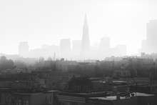 Fog Covered Skyline Of San Francisco
